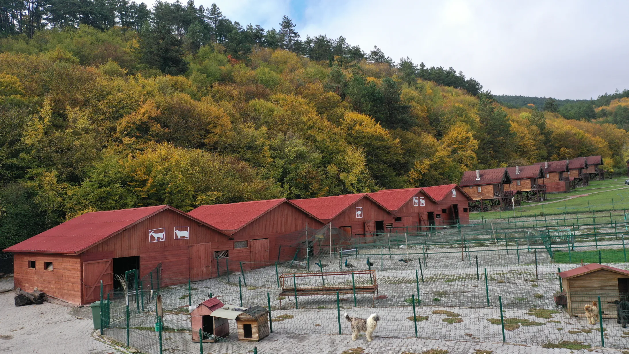 Çiftlik Görünümü